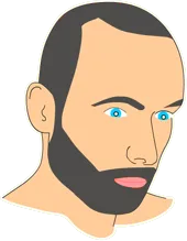 Illustrated portrait of Reinier Feijen